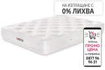 Matterra-2