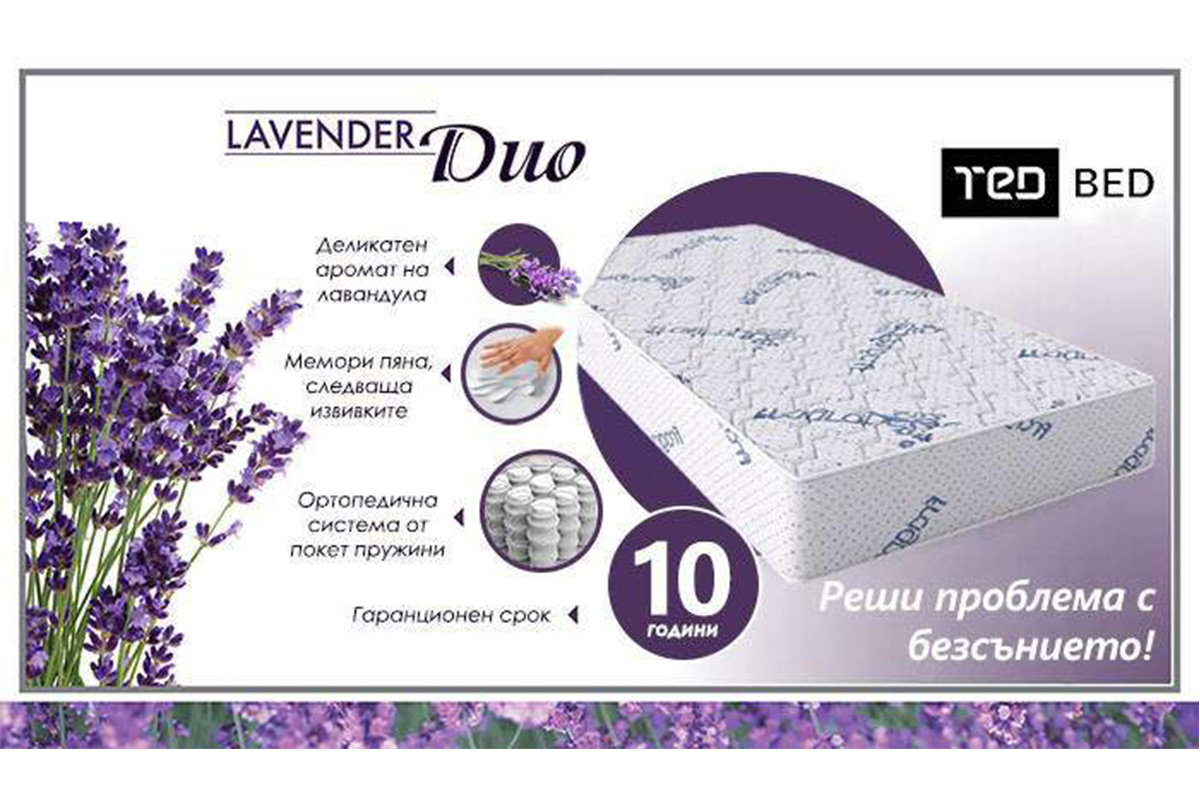 dm-lavender-duo-ted-matracite-promo-2