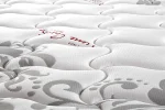 paradiso-by-pierre-cardin-1-5