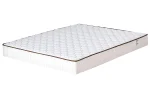 perla-ednolicev-2