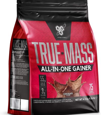 BSN - TRUE MASS ALL IN ONE GAINER - 4,2 KG